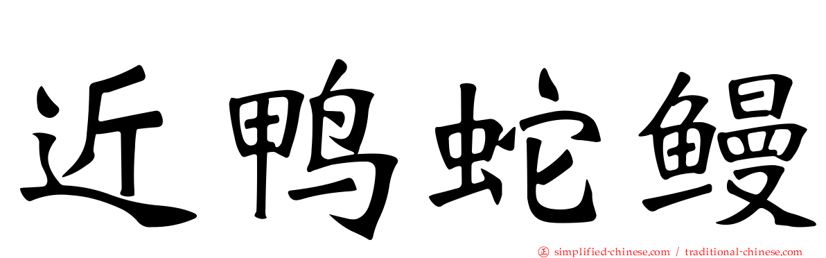 近鸭蛇鳗