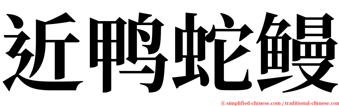 近鸭蛇鳗 serif font