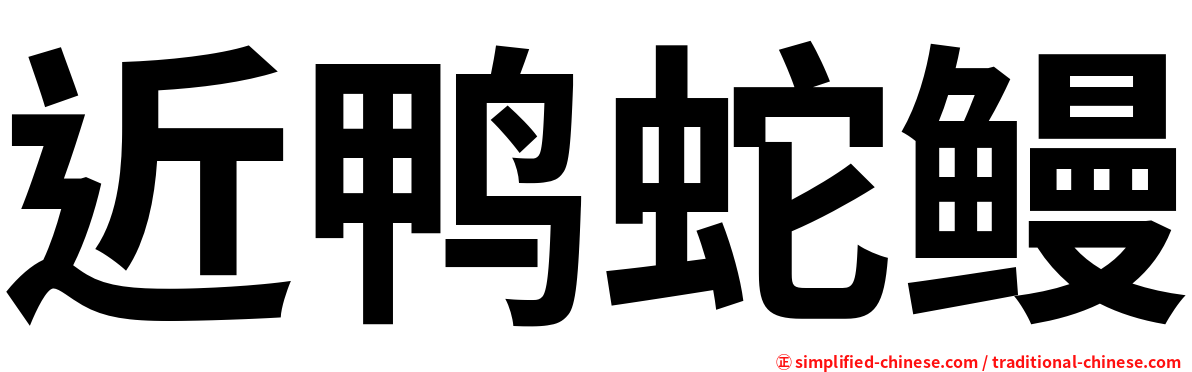 近鸭蛇鳗