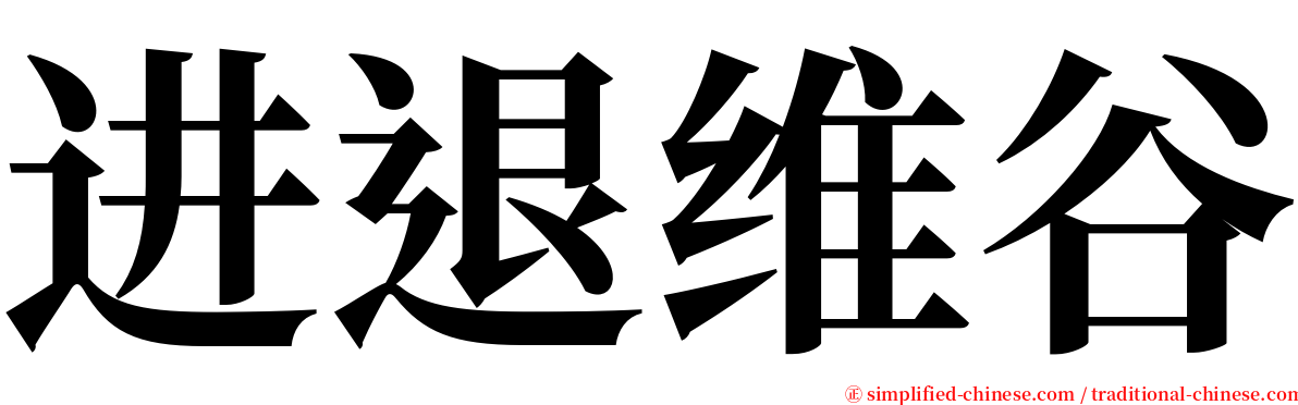 进退维谷 serif font