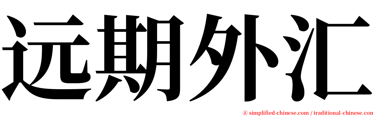 远期外汇 serif font