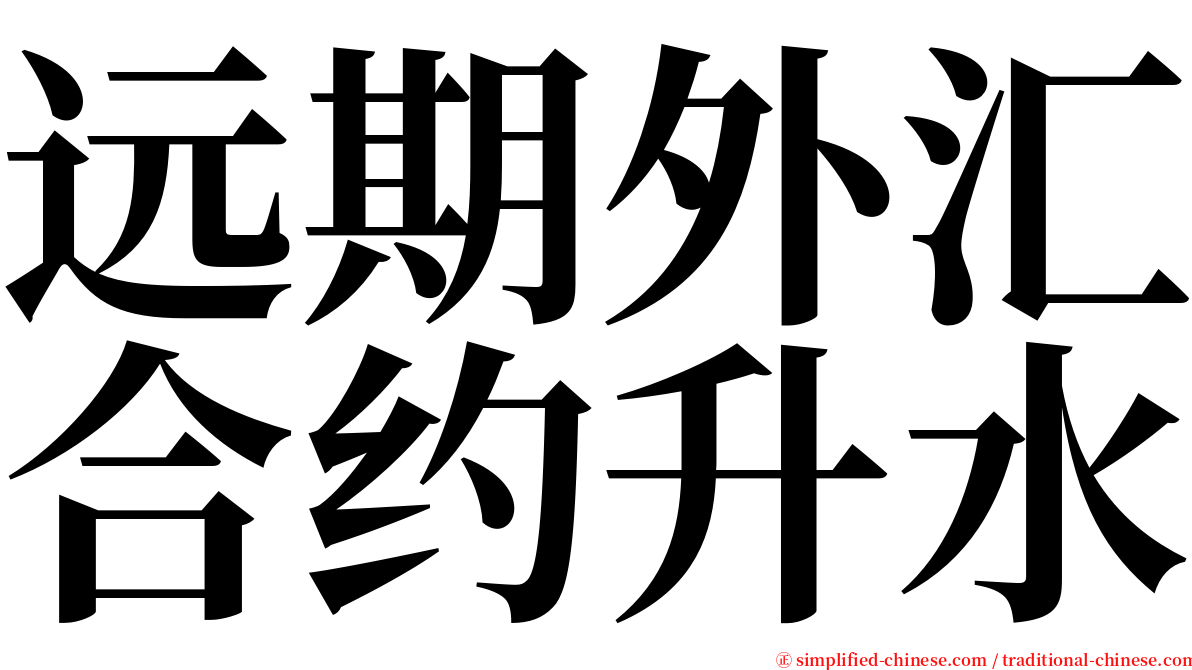 远期外汇合约升水 serif font