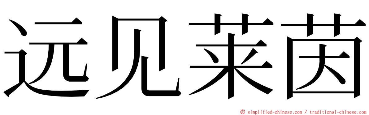 远见莱茵 ming font