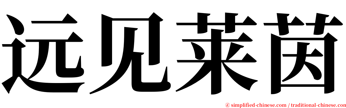 远见莱茵 serif font