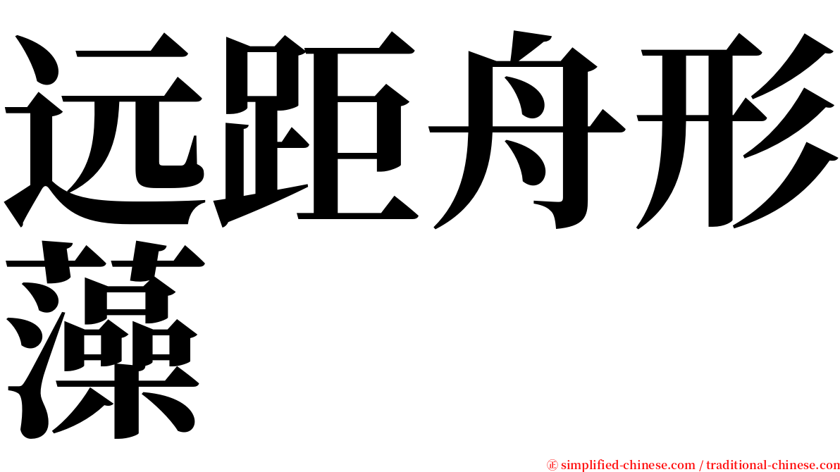 远距舟形藻 serif font