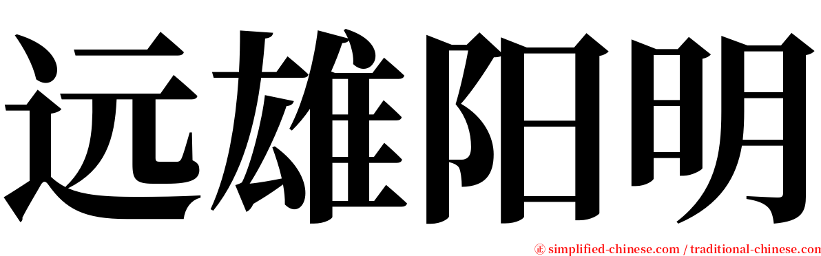 远雄阳明 serif font