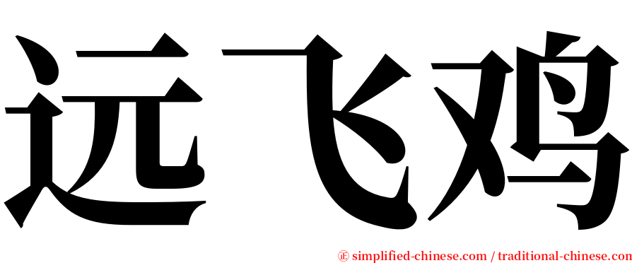 远飞鸡 serif font