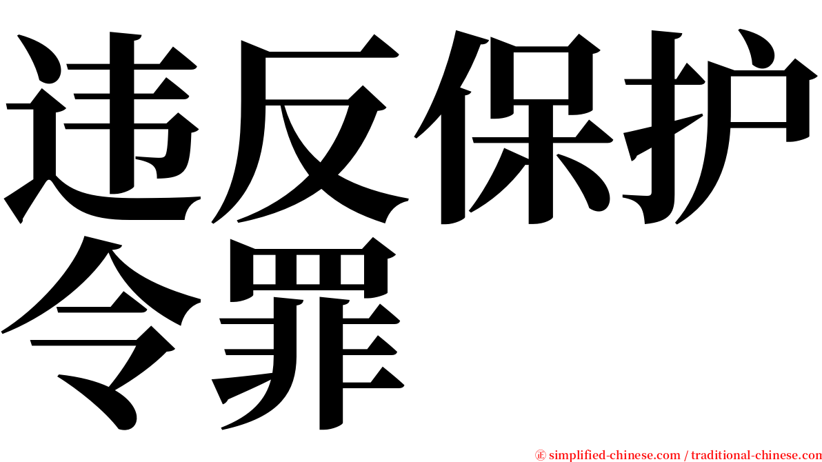 违反保护令罪 serif font