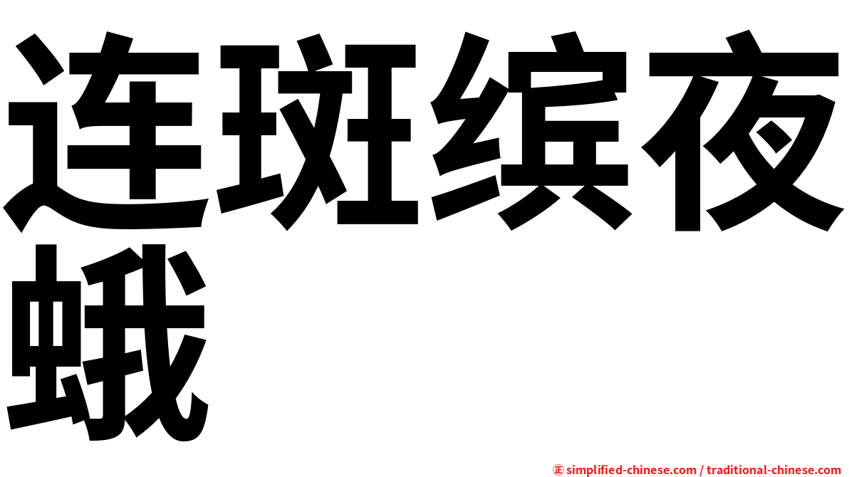 连斑缤夜蛾