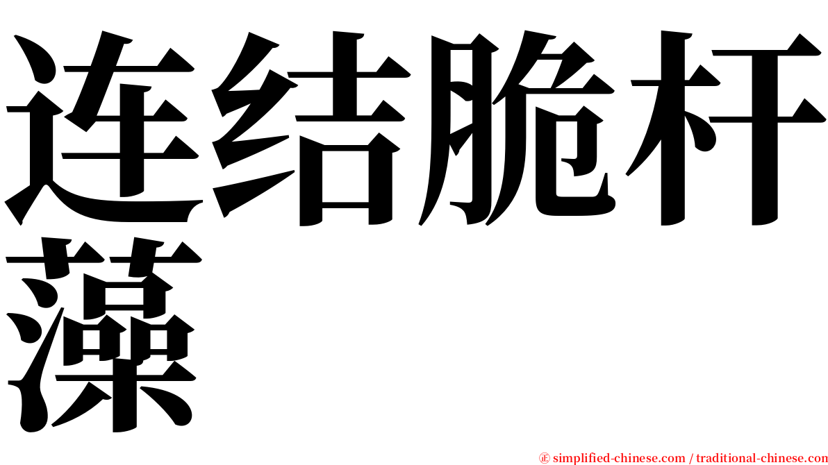 连结脆杆藻 serif font
