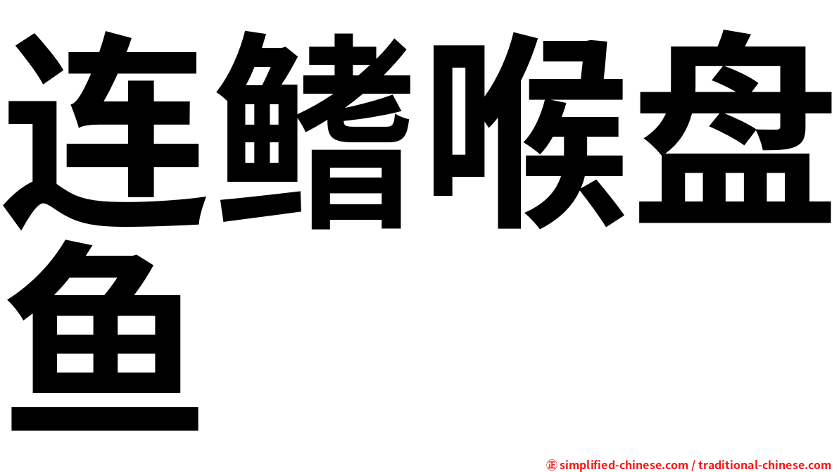 连鳍喉盘鱼
