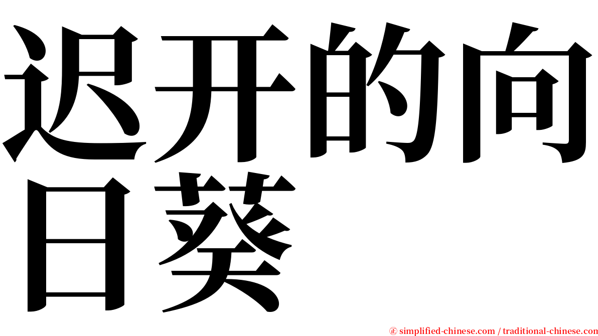 迟开的向日葵 serif font