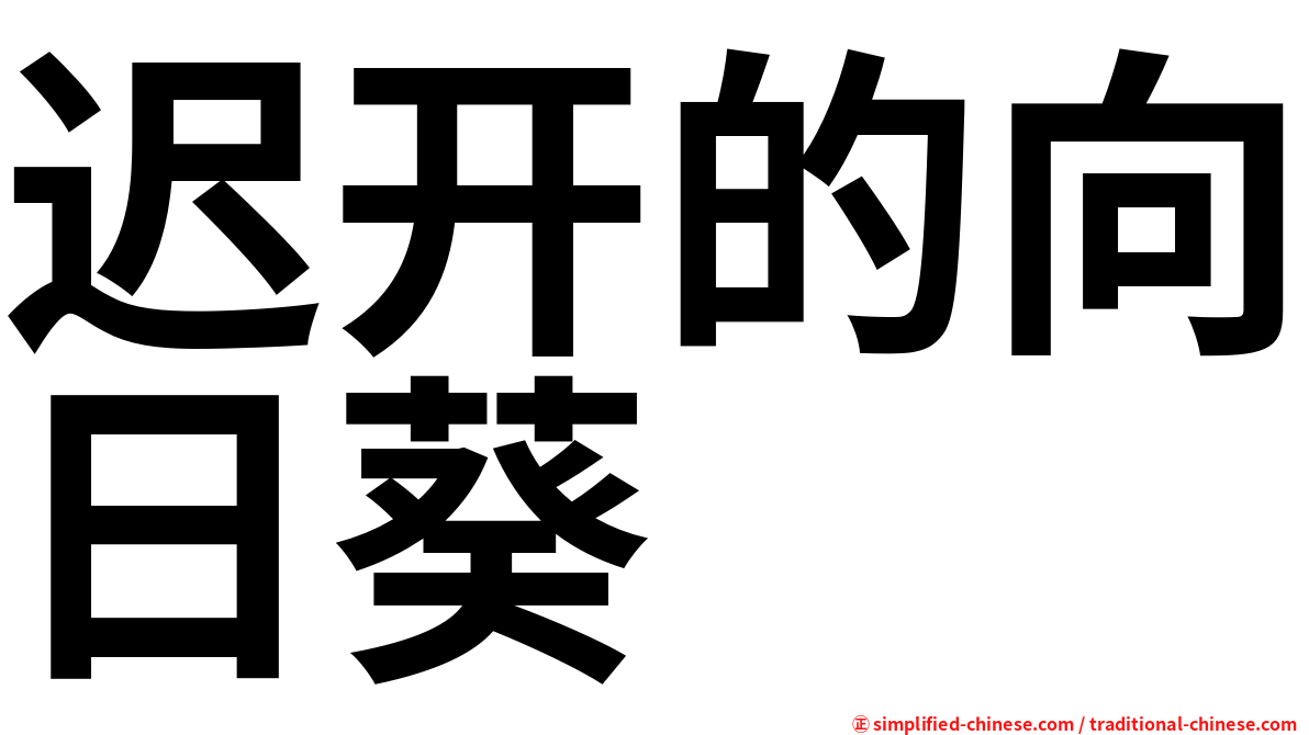 迟开的向日葵