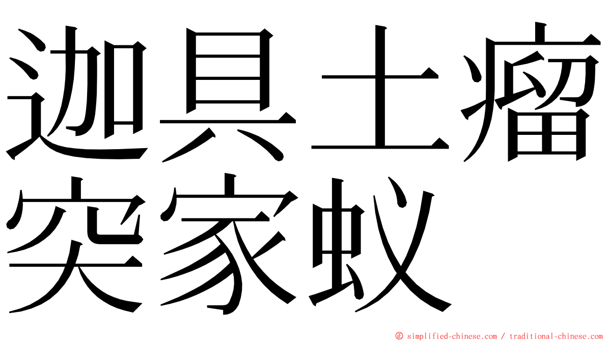 迦具土瘤突家蚁 ming font