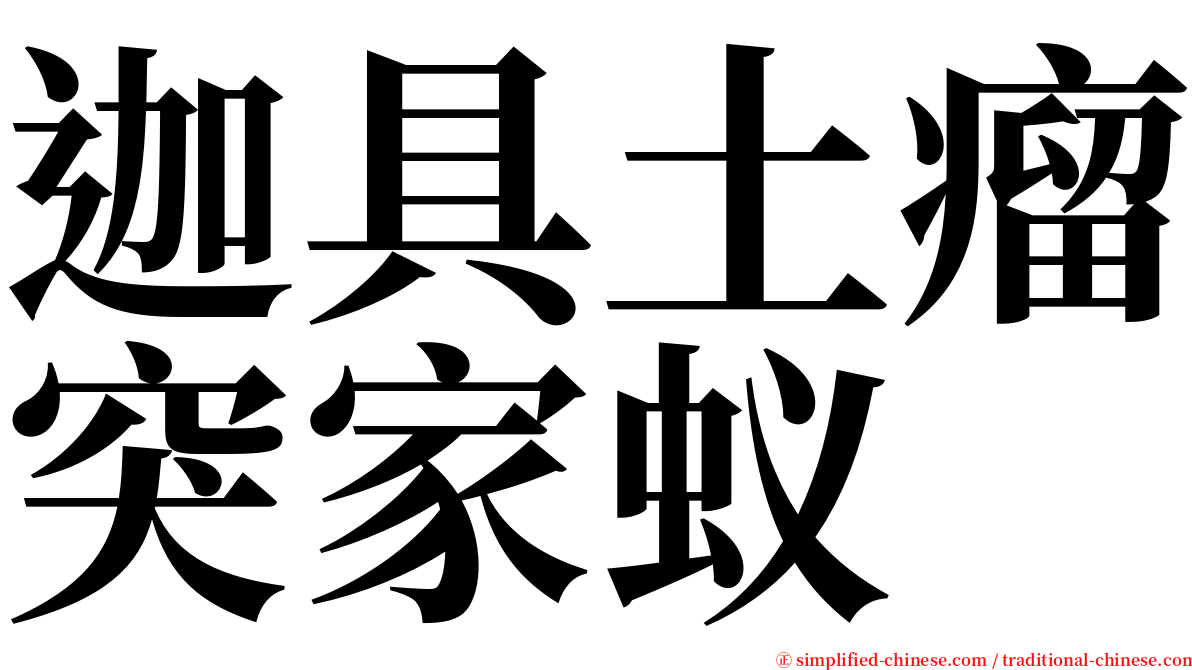 迦具土瘤突家蚁 serif font