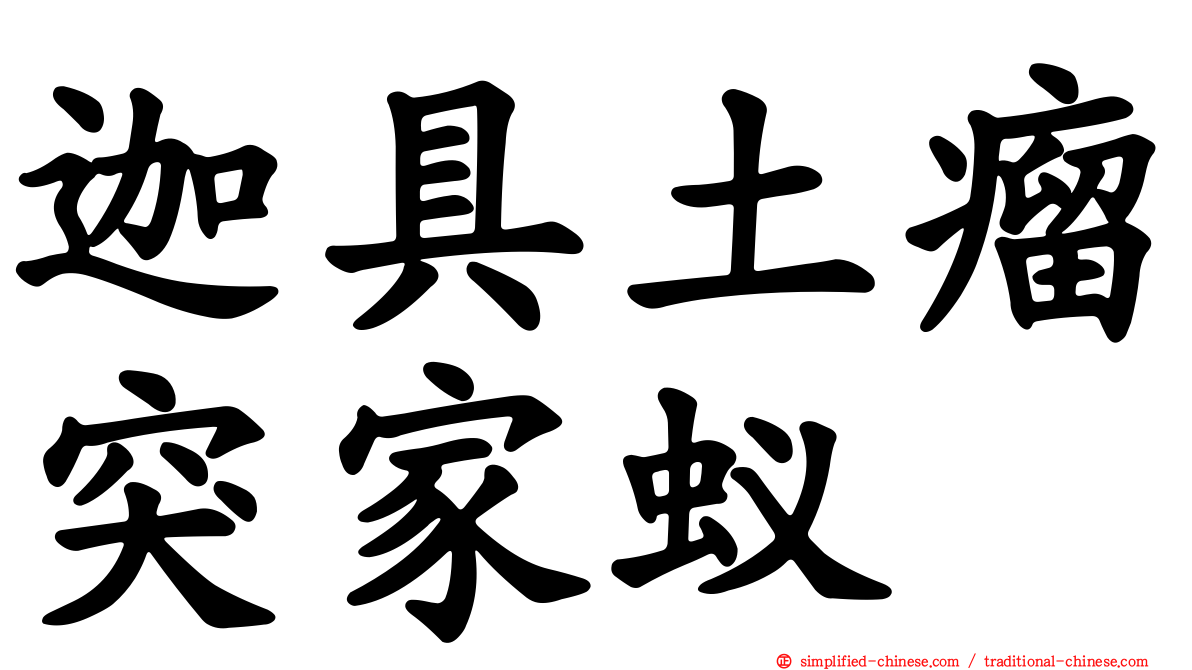 迦具土瘤突家蚁
