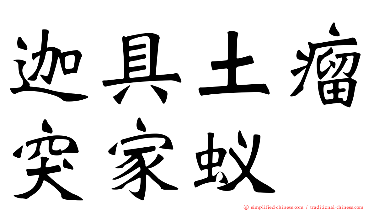迦具土瘤突家蚁