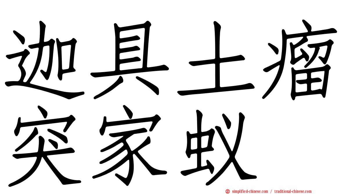 迦具土瘤突家蚁