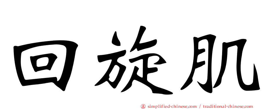 回旋肌
