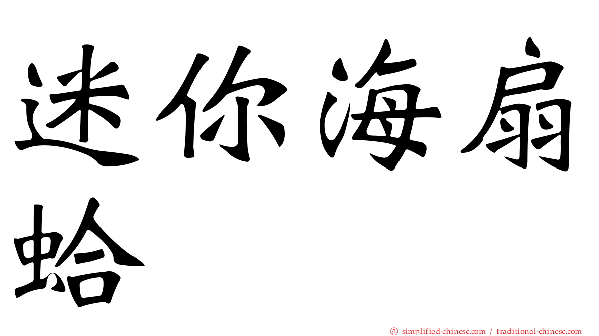 迷你海扇蛤