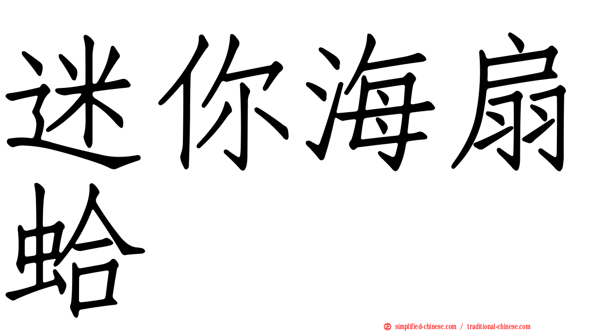 迷你海扇蛤