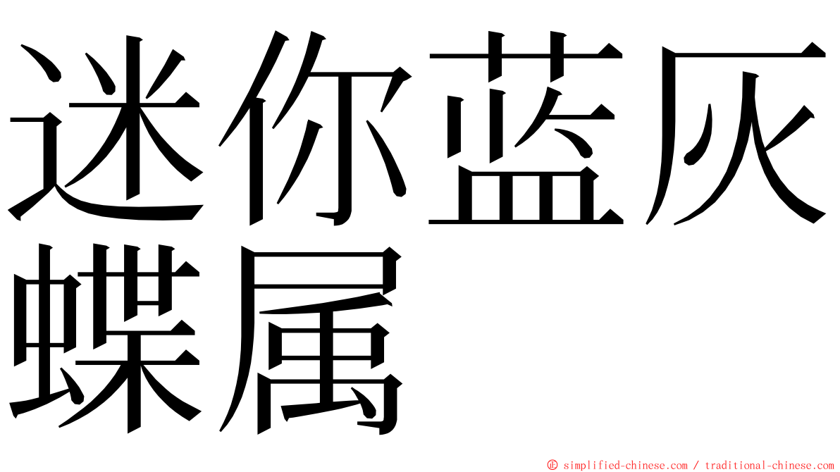 迷你蓝灰蝶属 ming font