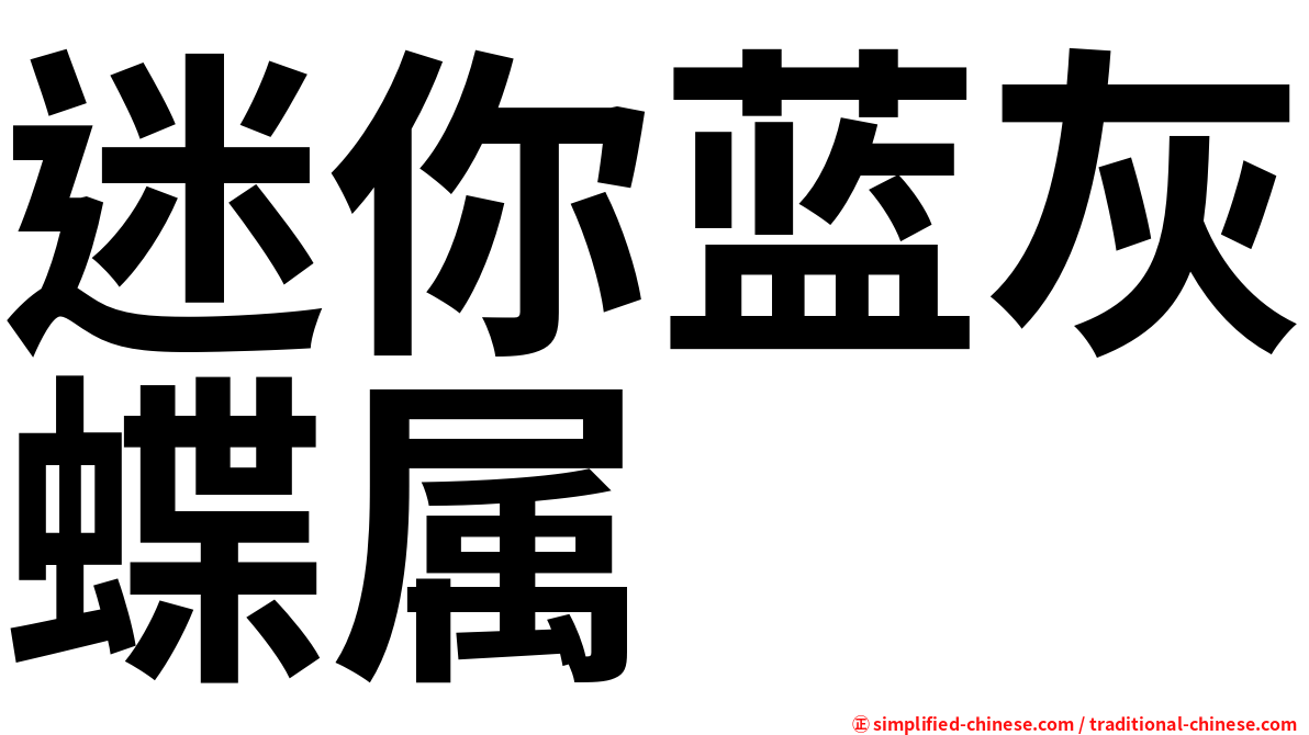 迷你蓝灰蝶属