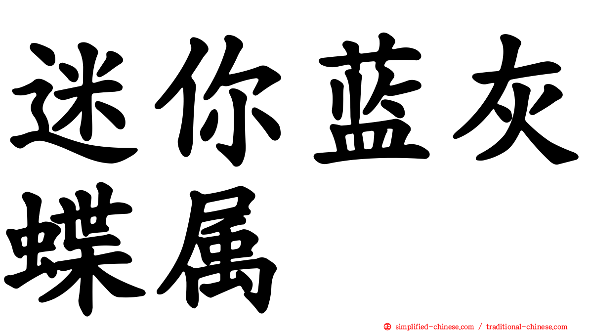 迷你蓝灰蝶属