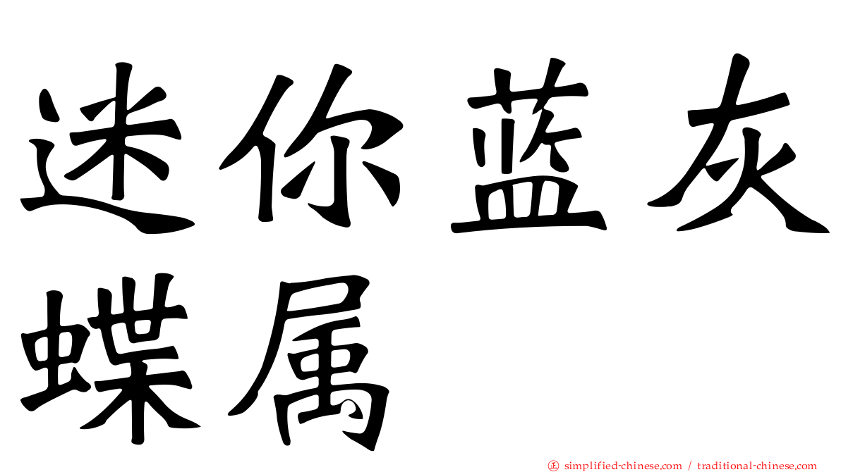迷你蓝灰蝶属