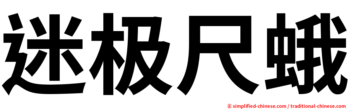 迷极尺蛾