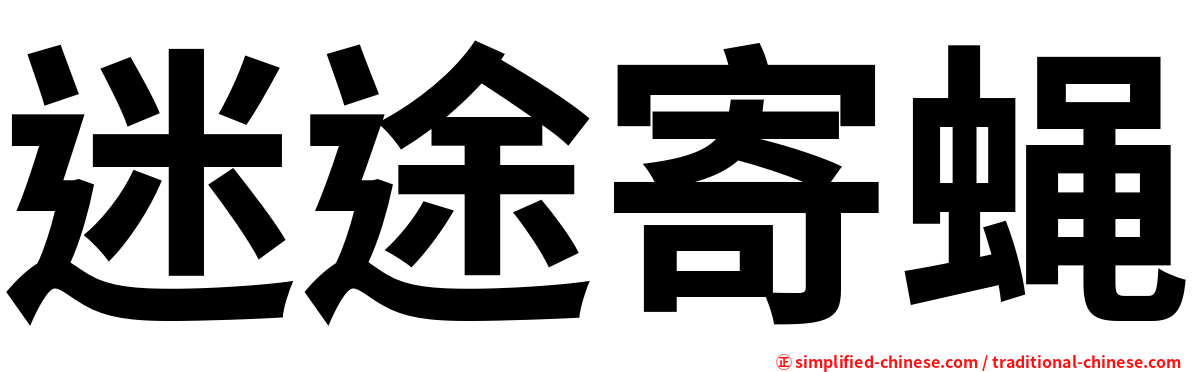 迷途寄蝇