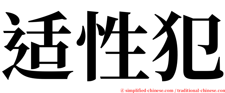 适性犯 serif font