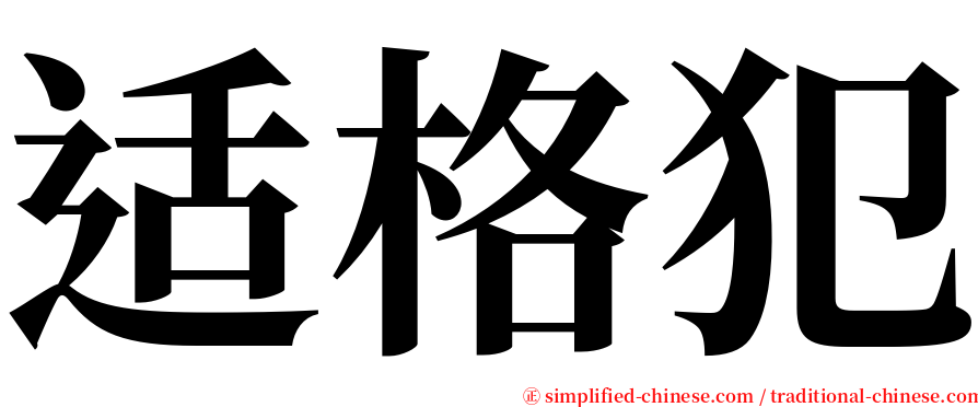 适格犯 serif font