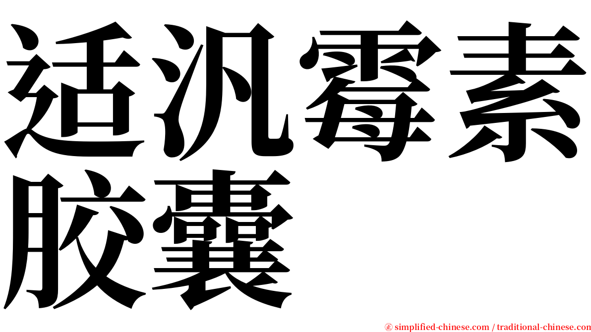 适汎霉素胶囊 serif font