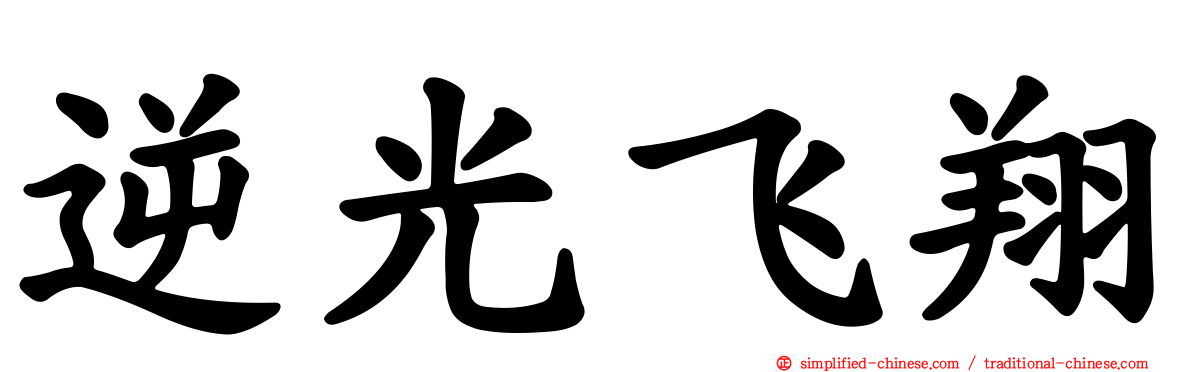 逆光飞翔