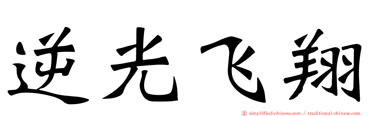 逆光飞翔