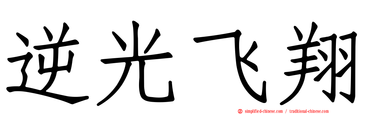 逆光飞翔