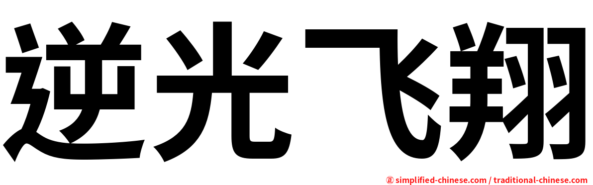 逆光飞翔