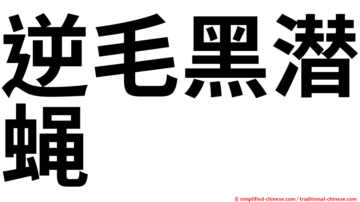逆毛黑潜蝇