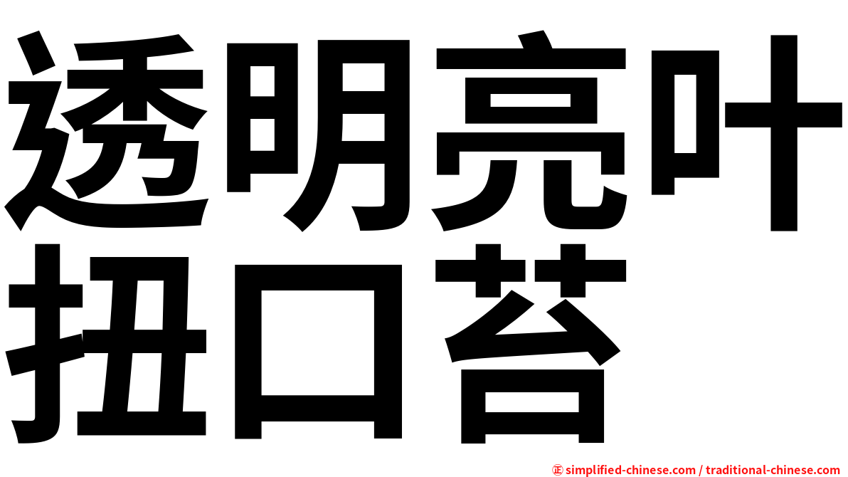 透明亮叶扭口苔