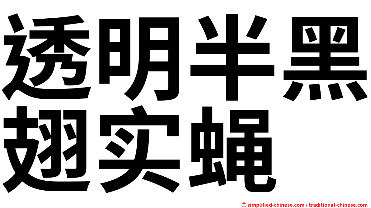透明半黑翅实蝇
