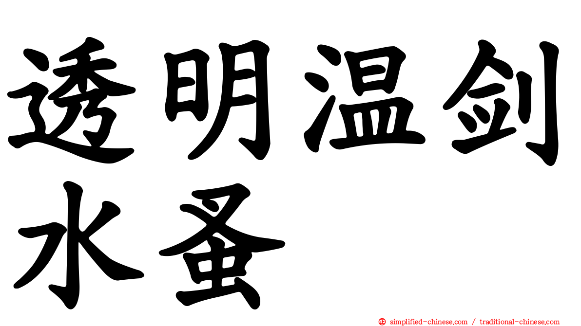 透明温剑水蚤