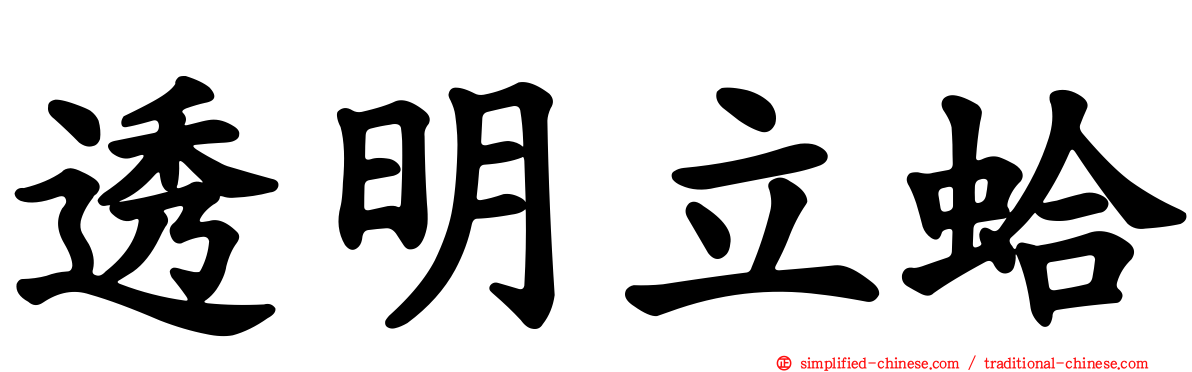 透明立蛤