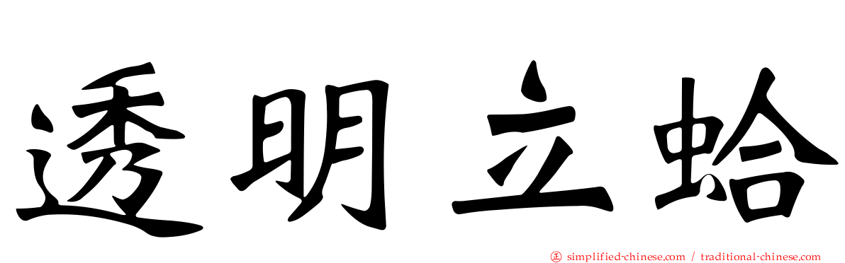 透明立蛤