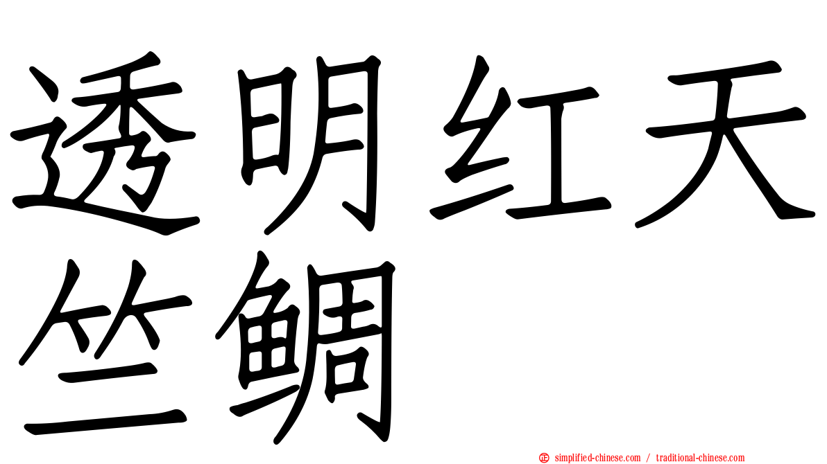 透明红天竺鲷