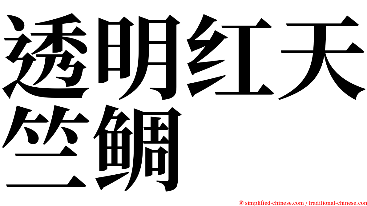 透明红天竺鲷 serif font