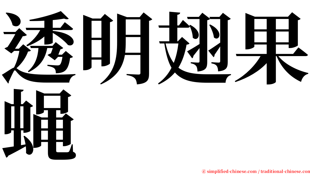 透明翅果蝇 serif font