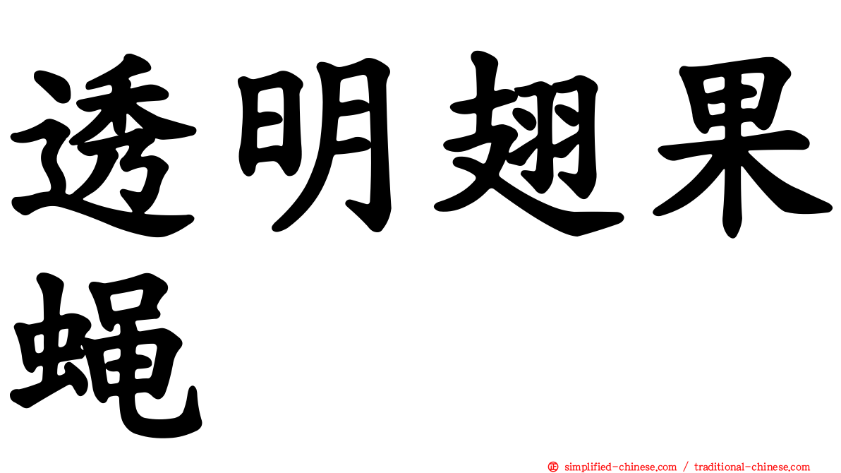 透明翅果蝇