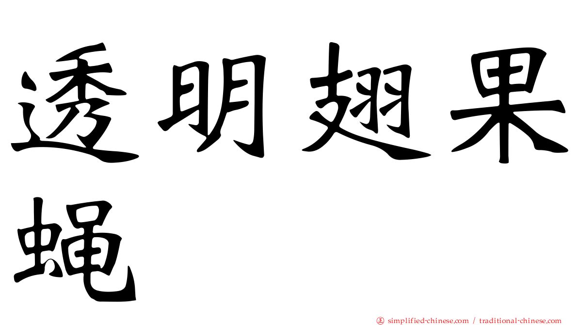 透明翅果蝇