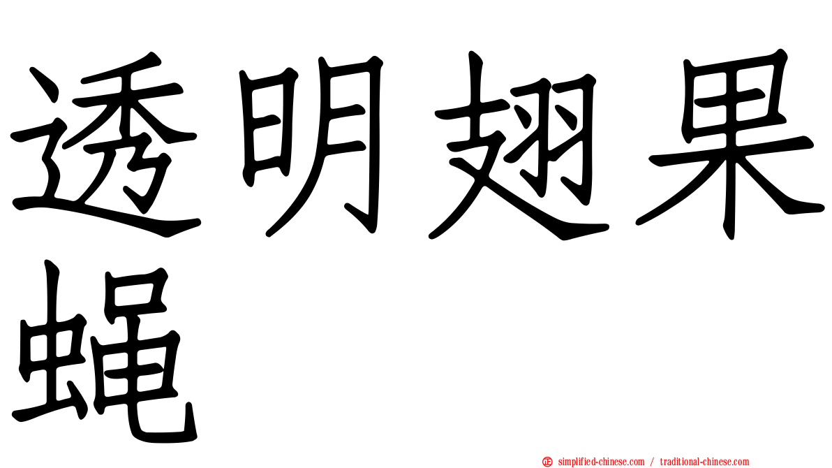 透明翅果蝇